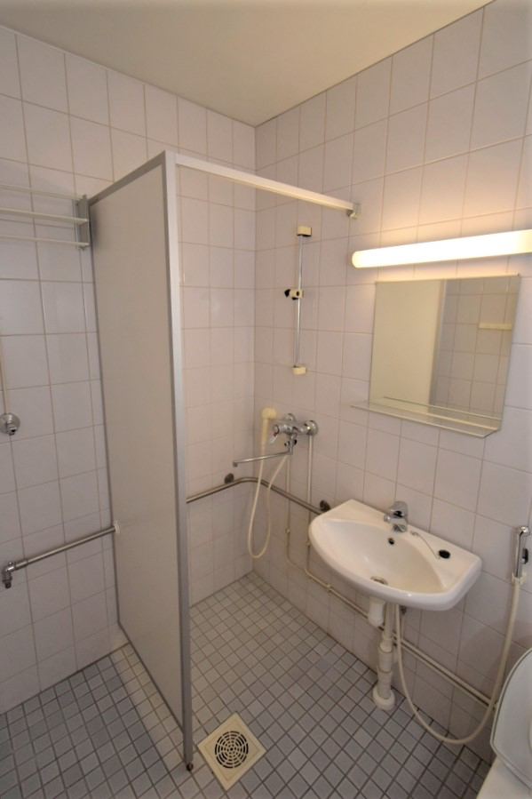 huoneiston kylpyhuone, jossa on suihku ja lavuaari